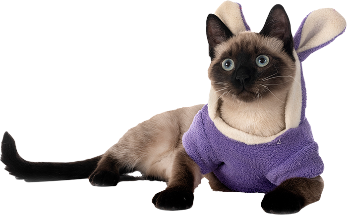animal rescue service